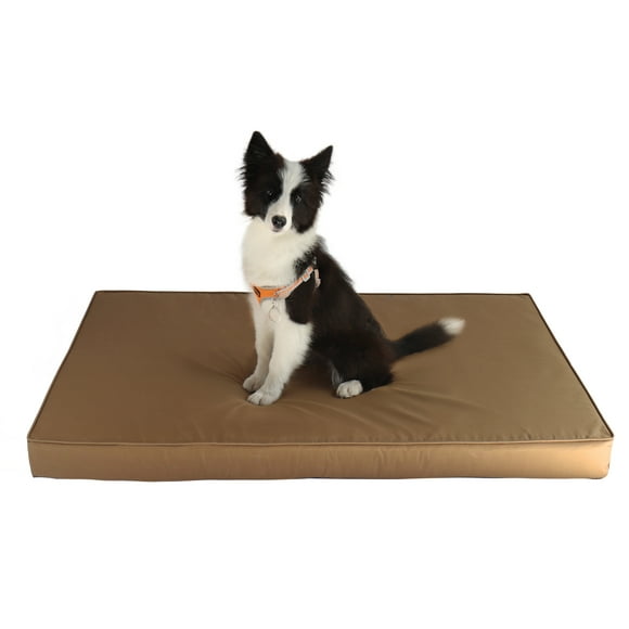 SPXTEX Dog Bed Covers Dog Rugs Pet Pads Puppy Pads Washable Pee Pads for Dog Blankets for Couch Protection Super Soft Pet Bed Covers for Dog Training Pads 1 Piece SPXTEX Dog Bed Covers Dog Rugs Pet Pads Puppy Pads Washable Pee Pads for Dog Blankets for Couch Protection Super Soft Pet Bed Covers for Dog Training Pads 1 Piece